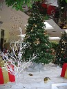 christmas 2005 020